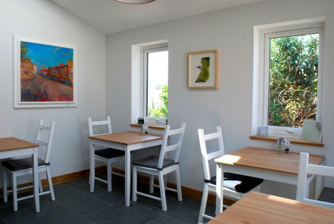 Ty Boia Bed & Breakfast St. Davids (Pembrokeshire) Exterior foto
